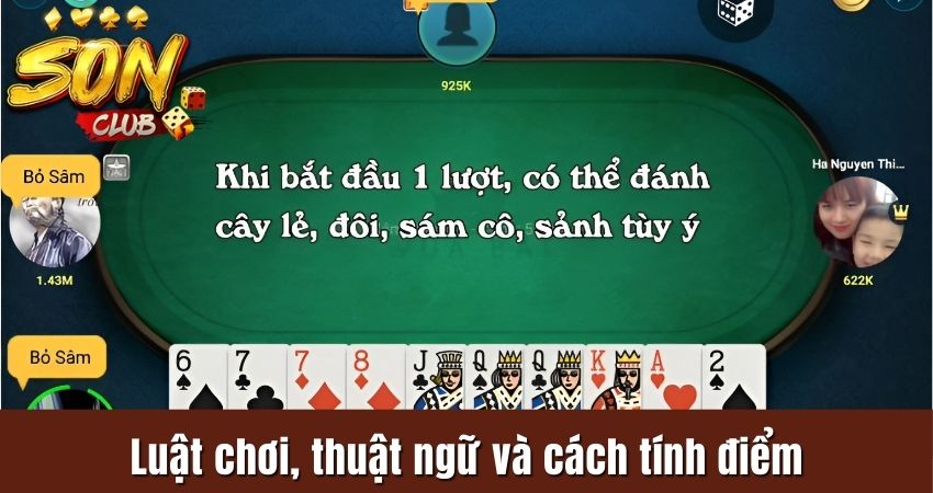 Cách chơi, thuật ngữ và luật tính điểm trong game